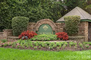 10701 Spring Camp Way, Charlotte, NC 28277 - Photo 37