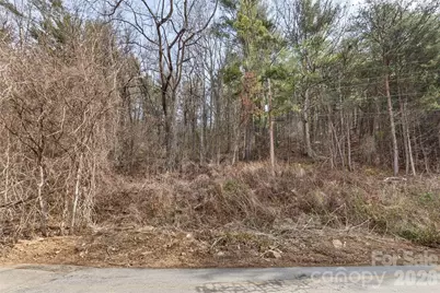 99999 Mountainbrook Road #2, Asheville, NC 28805 - Photo 5