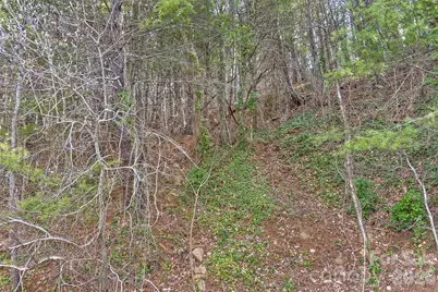 99999 Mountainbrook Road #2, Asheville, NC 28805 - Photo 9