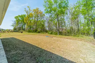 14505 Rhodes Hall Dr, Charlotte, NC 28273 - Photo 15