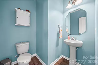 499 Dutch White Drive, Clover, SC 29710 - Photo 21