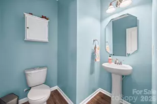 499 Dutch White Drive, Clover, SC 29710 - Photo 21