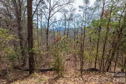 00 Crist View Drive #Lot 12, Marshall, NC 28753 - Photo 7