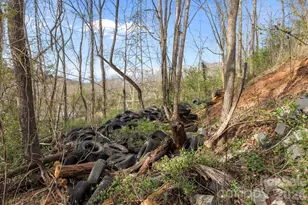 161 Pandora Cir, Canton, NC 28716 - Photo 29