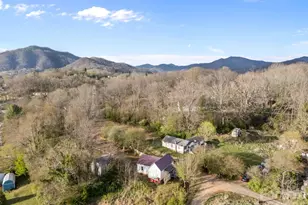 161 Pandora Cir, Canton, NC 28716 - Photo 27