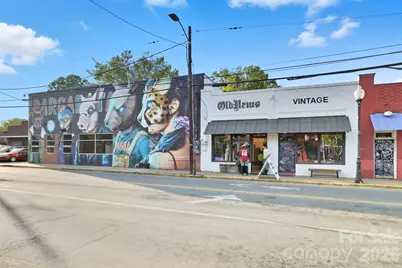 1003 Zinc Lane, Charlotte, NC 28205 - Photo 47