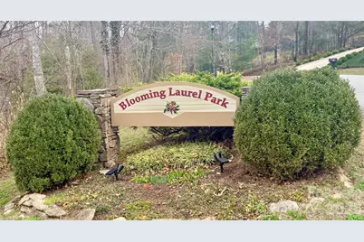 85 Baton Lane, Hendersonville, NC 28792 - Photo 1