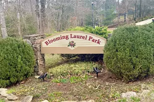 85 Baton Ln, Hendersonville, NC 28792 - Photo 1