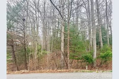 85 Baton Lane, Hendersonville, NC 28792 - Photo 3