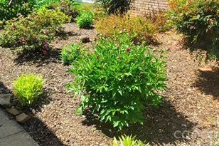 100 Thistle Knoll Ct, Asheville, NC 28803 - Photo 39