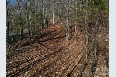 1165 Scenic Circle, Waynesville, NC 28786 - Photo 7