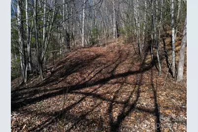 1165 Scenic Circle, Waynesville, NC 28786 - Photo 23