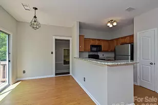 13623 Christian Tyler Ct, Charlotte, NC 28278 - Photo 13