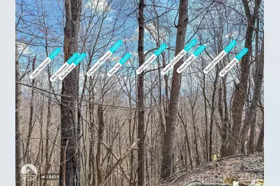 Tbd Chipmunk Circle #27, Waynesville, NC 28785 - Photo 3