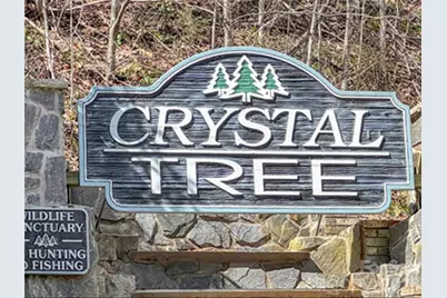 Tbd Chipmunk Circle #27, Waynesville, NC 28785 - Photo 17