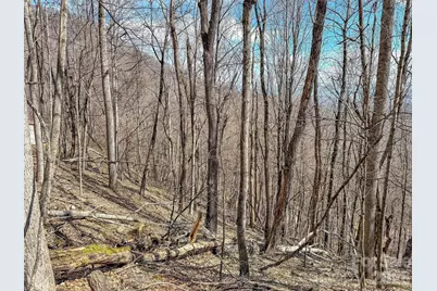 Tbd Chipmunk Circle #27, Waynesville, NC 28785 - Photo 11