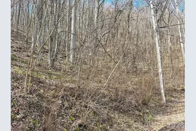 Tbd Chipmunk Circle #27, Waynesville, NC 28785 - Photo 13