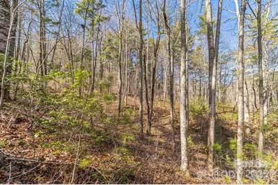 99999 Parker Road, Asheville, NC 28805 - Photo 5