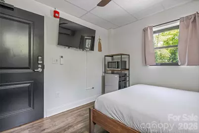 42 Furman Avenue, Asheville, NC 28801 - Photo 29