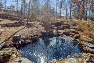 10 Dunnwoody Ct, Arden, NC 28704 - Photo 41