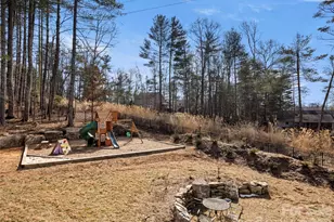 10 Dunnwoody Ct, Arden, NC 28704 - Photo 37