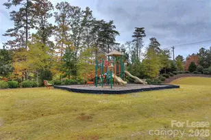 16805 Alydar Commons Ln, Charlotte, NC 28278 - Photo 41