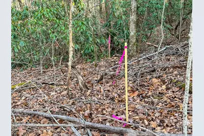 582 Faircrest Lane, Hendersonville, NC 28792 - Photo 21