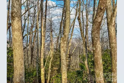 582 Faircrest Lane, Hendersonville, NC 28792 - Photo 31