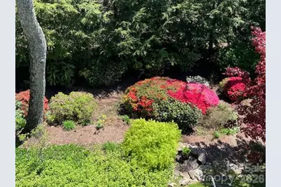 330 Dawnbrook Drive, Flat Rock, NC 28731 - Photo 45