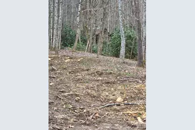 00 Laurel Branch Road, Waynesville, NC 28785 - Photo 13