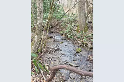 00 Laurel Branch Road, Waynesville, NC 28785 - Photo 5