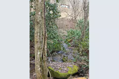 00 Laurel Branch Road, Waynesville, NC 28785 - Photo 9