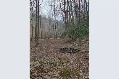 00 Laurel Branch Road, Waynesville, NC 28785 - Photo 3