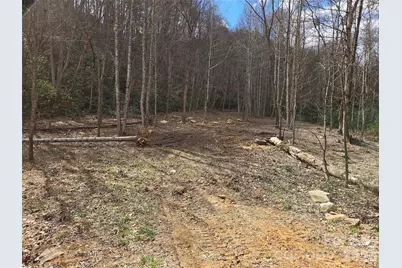 00 Laurel Branch Road, Waynesville, NC 28785 - Photo 1