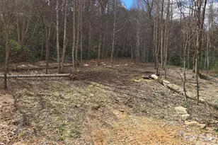 00 Laurel Branch Rd, Waynesville, NC 28785 - Photo 1