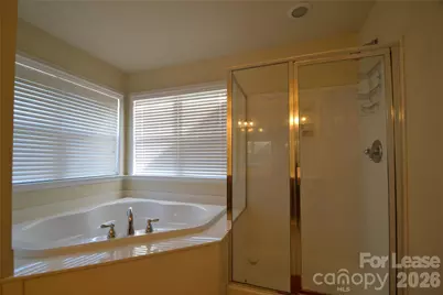 221 Montibello Drive, Mooresville, NC 28117 - Photo 17