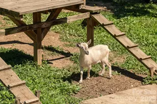 16 School House Rd, Mills River, NC 28759 - Photo 43