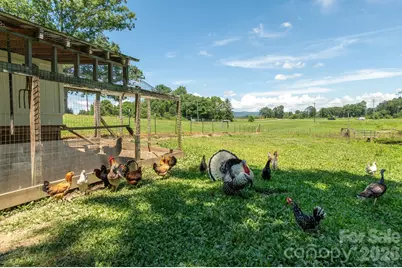 16 School House Road, Mills River, NC 28759 - Photo 45