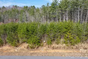 2804 Starlight Ln, Morganton, NC 28655 - Photo 19