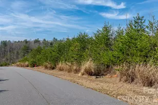 2804 Starlight Ln, Morganton, NC 28655 - Photo 13