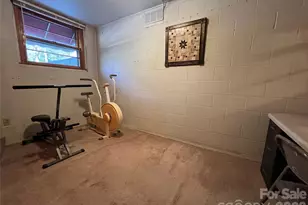 204 Reed Dr, Flat Rock, NC 28731 - Photo 45