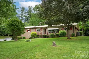 204 Reed Dr, Flat Rock, NC 28731 - Photo 41