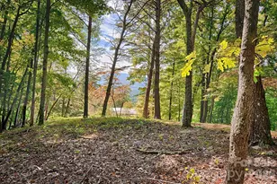 281 Jones Cove Rd, Asheville, NC 28805 - Photo 9