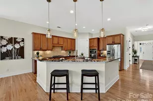 15133 High Bluff Ct, Charlotte, NC 28278 - Photo 21