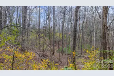 75 Laurelwood Drive #69, Marion, NC 28752 - Photo 19