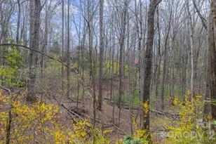 75 Laurelwood Dr, Marion, NC 28752 - Photo 19