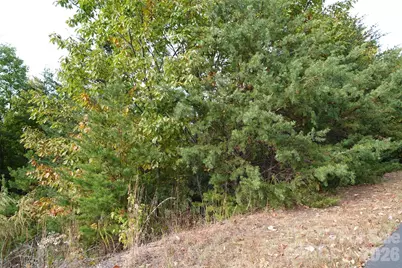 109 Ampersand Trail, Bostic, NC 28018 - Photo 3