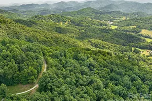 1160 High Rock Mountain Rd, Marshall, NC 28753 - Photo 23