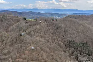 1160 High Rock Mountain Rd, Marshall, NC 28753 - Photo 39