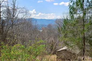 1160 High Rock Mountain Rd, Marshall, NC 28753 - Photo 31